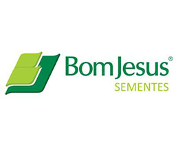 Sementes_bom_jesus.jpeg